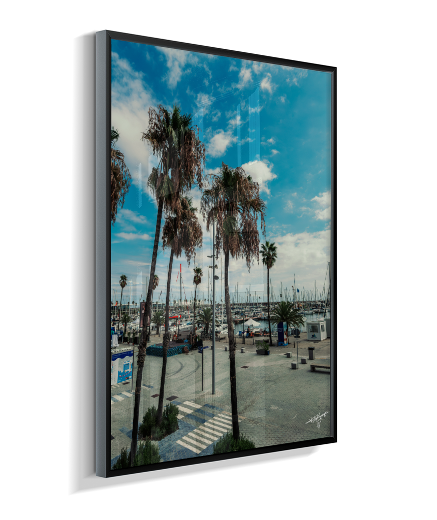 Harbor Palms