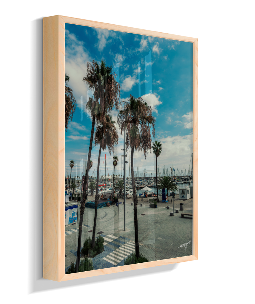 Harbor Palms