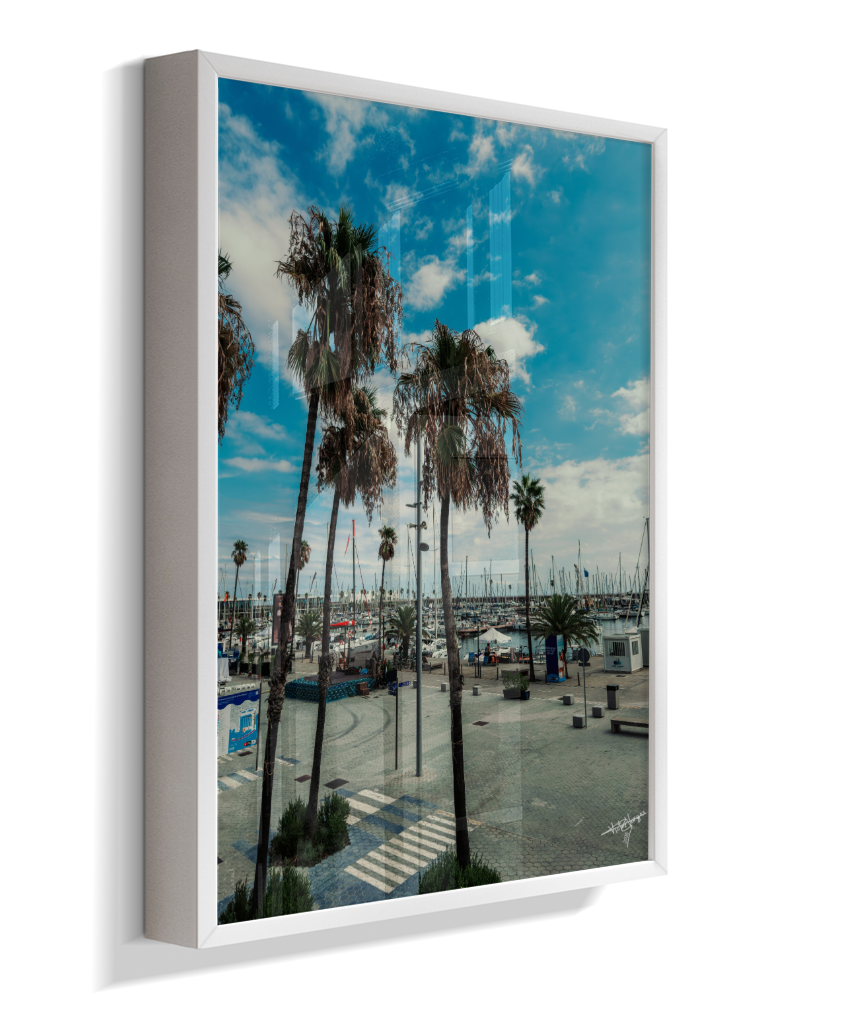Harbor Palms