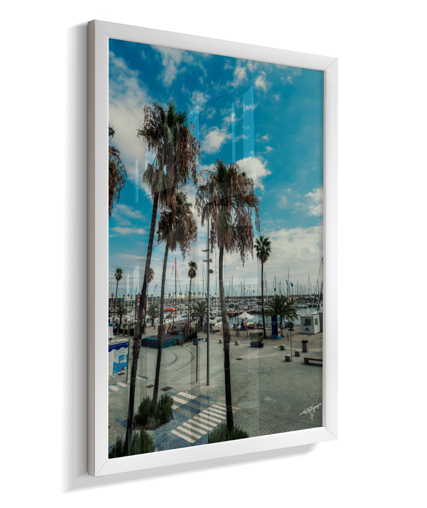 Harbor Palms