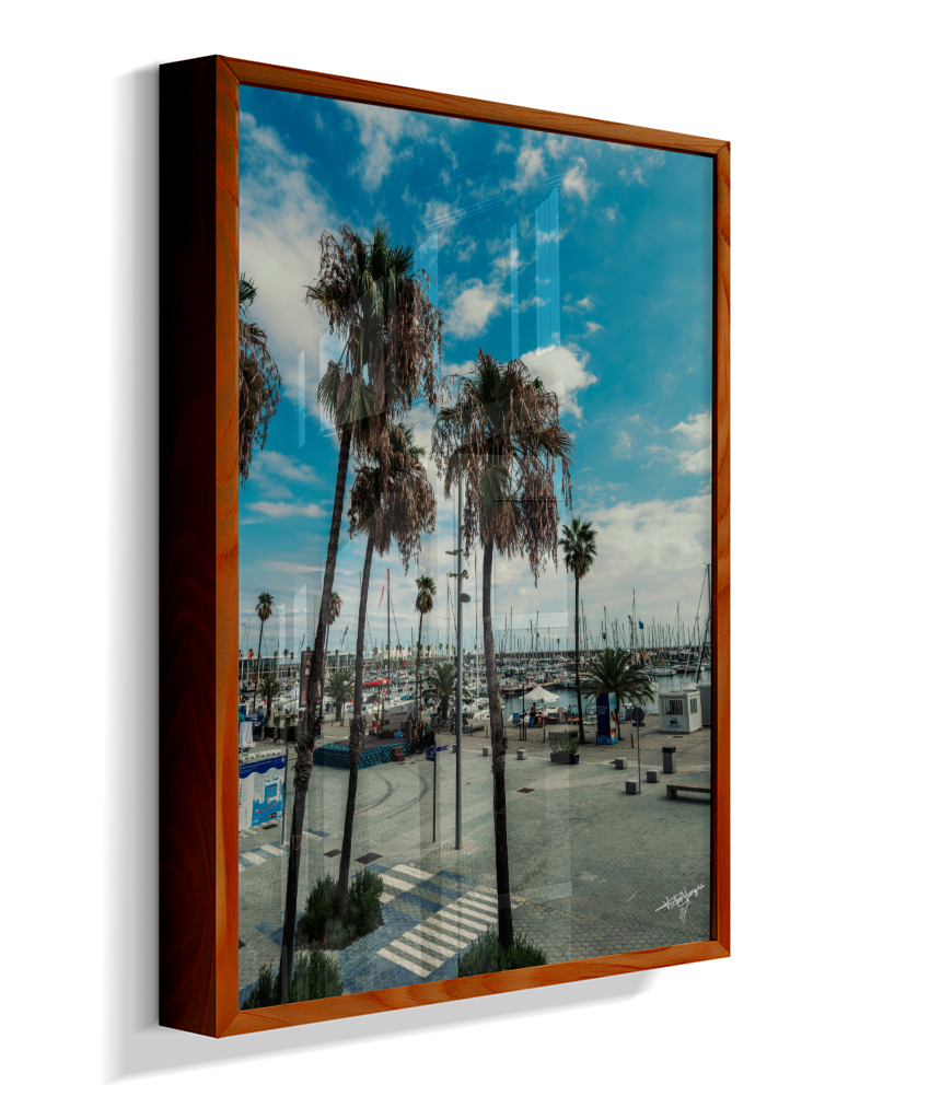 Harbor Palms