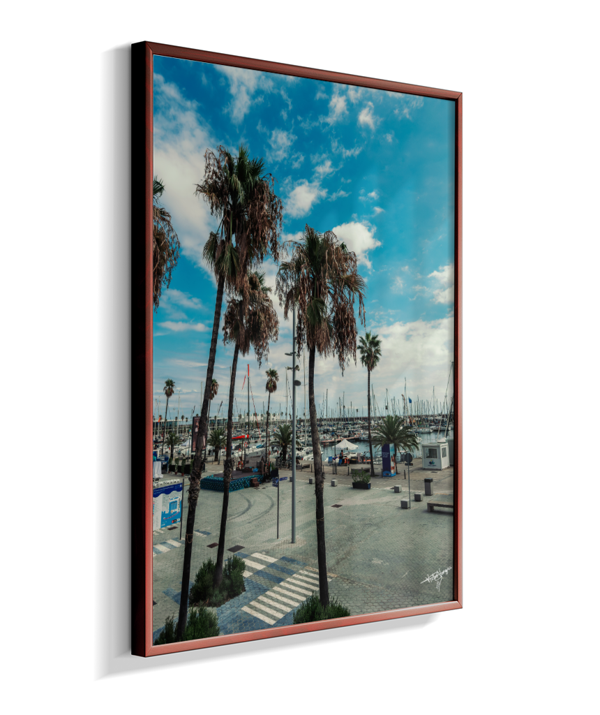 Harbor Palms
