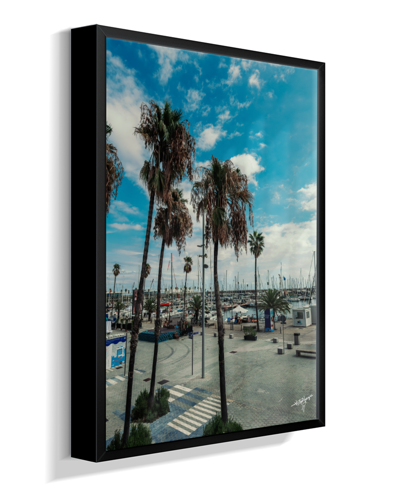 Harbor Palms