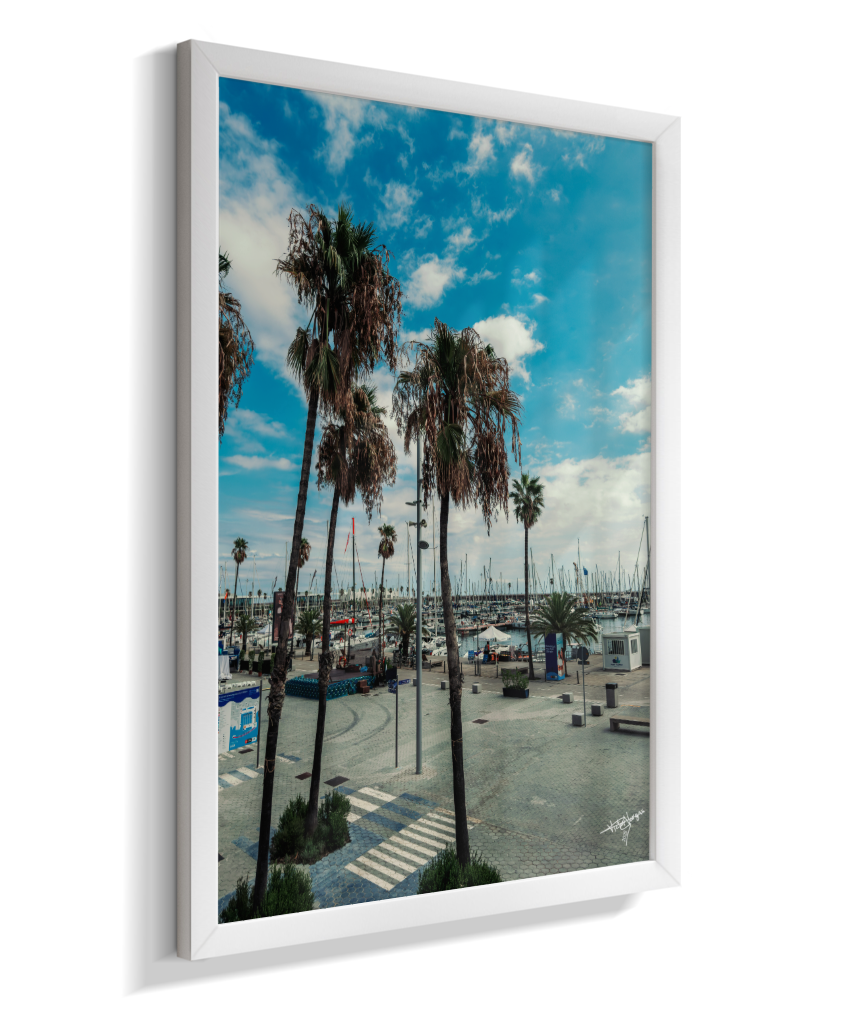 Harbor Palms