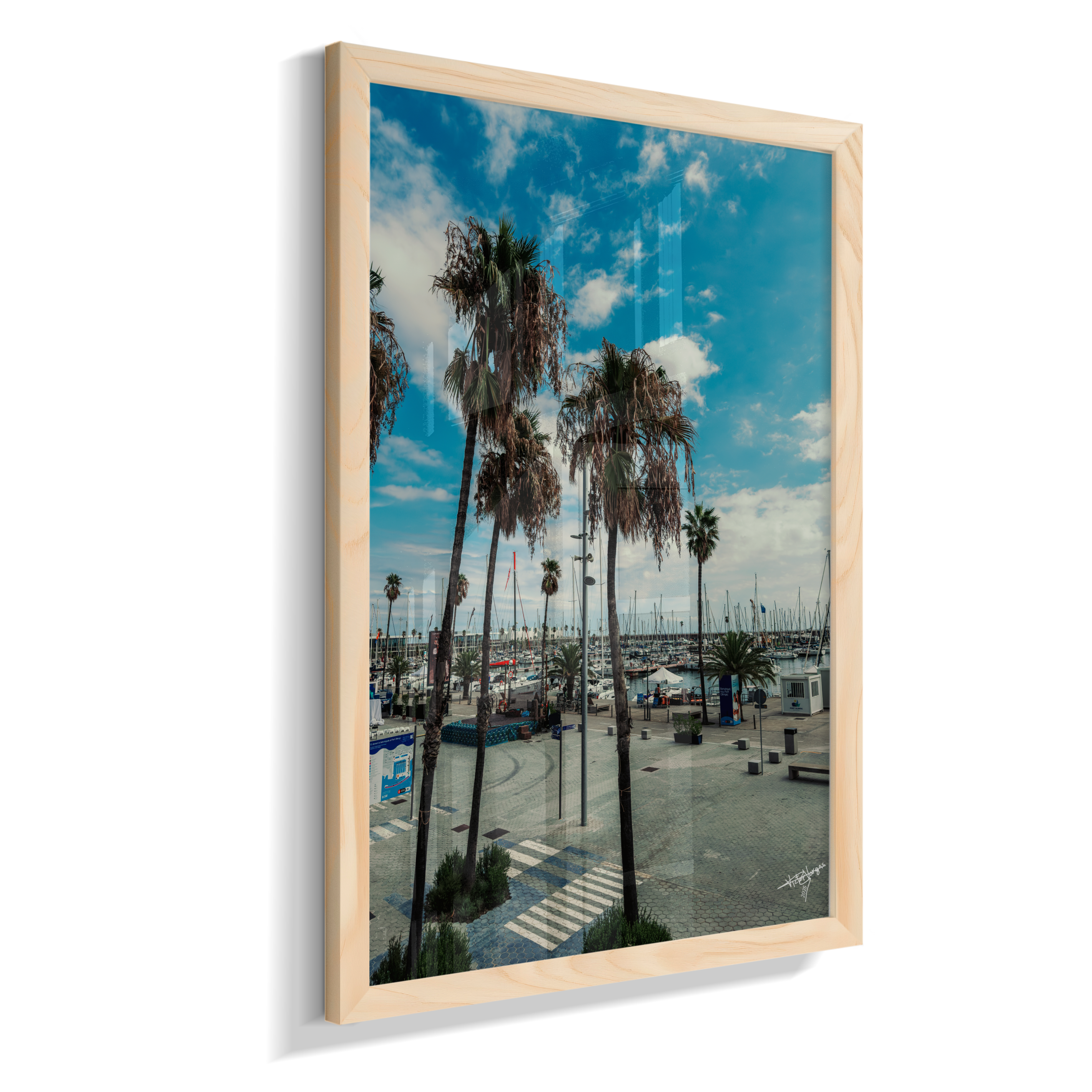 Harbor Palms