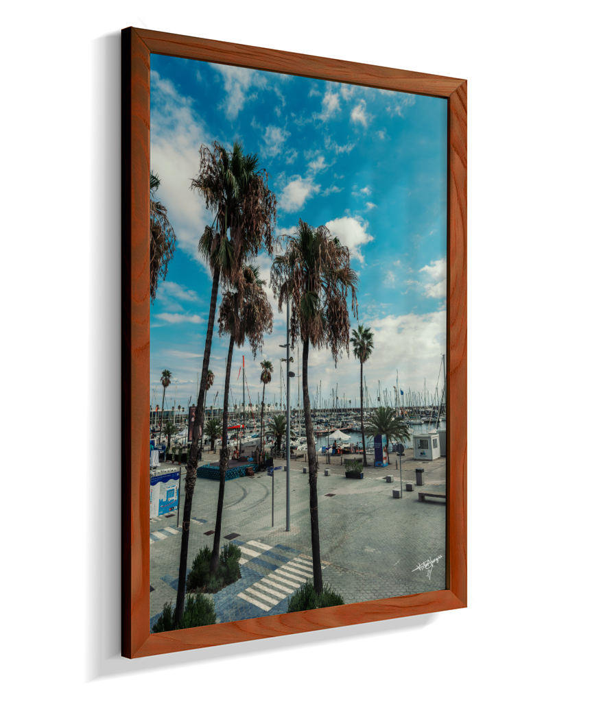 Harbor Palms