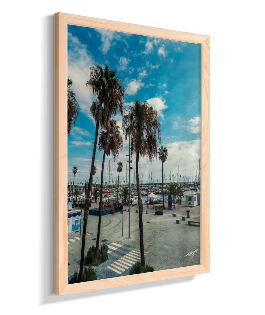 Harbor Palms