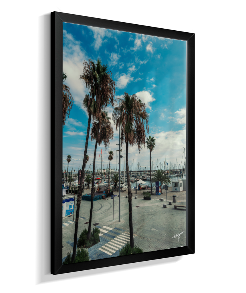 Harbor Palms