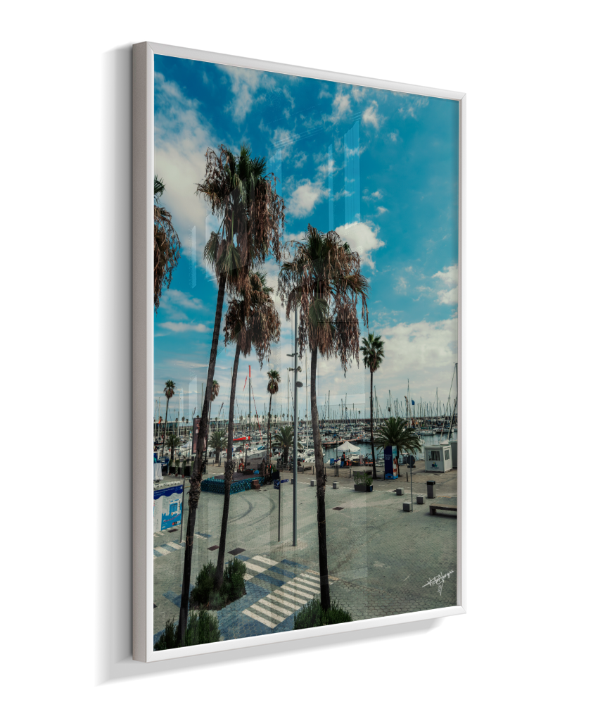 Harbor Palms