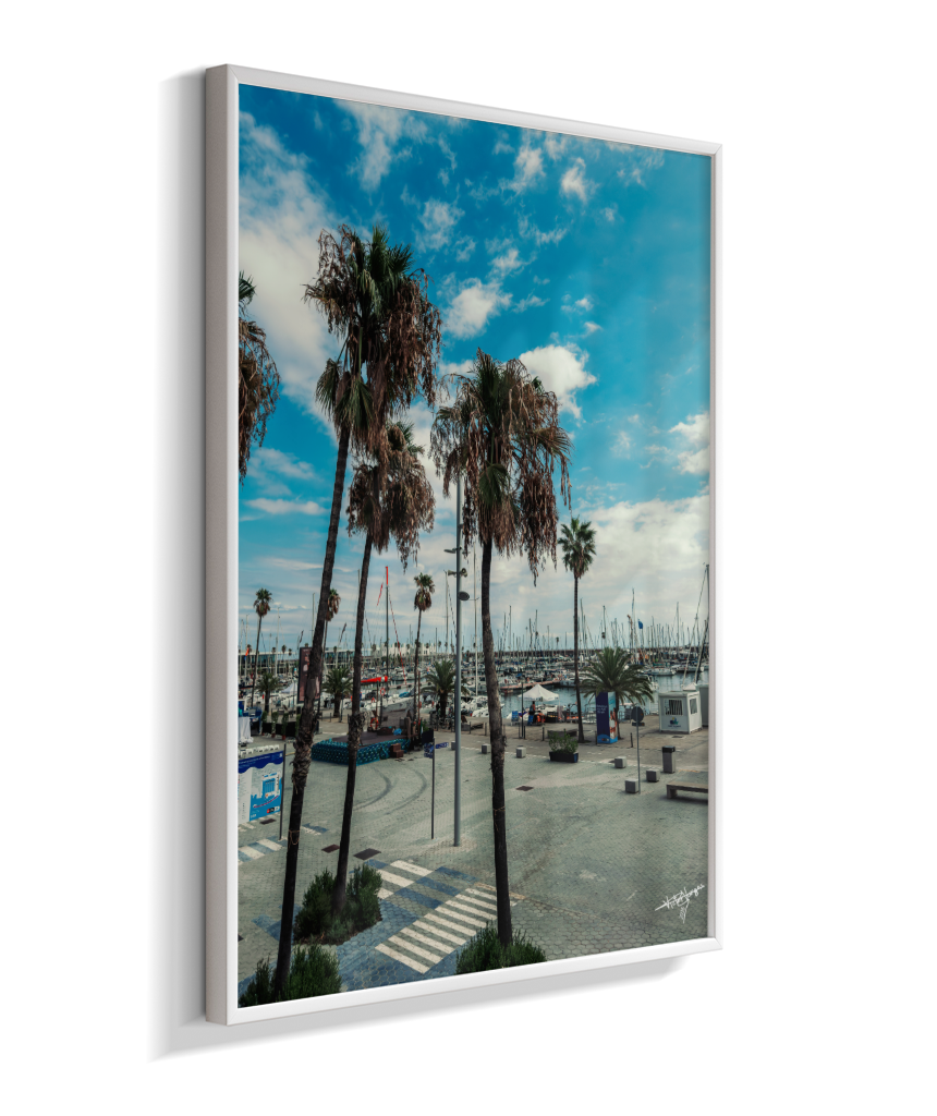 Harbor Palms