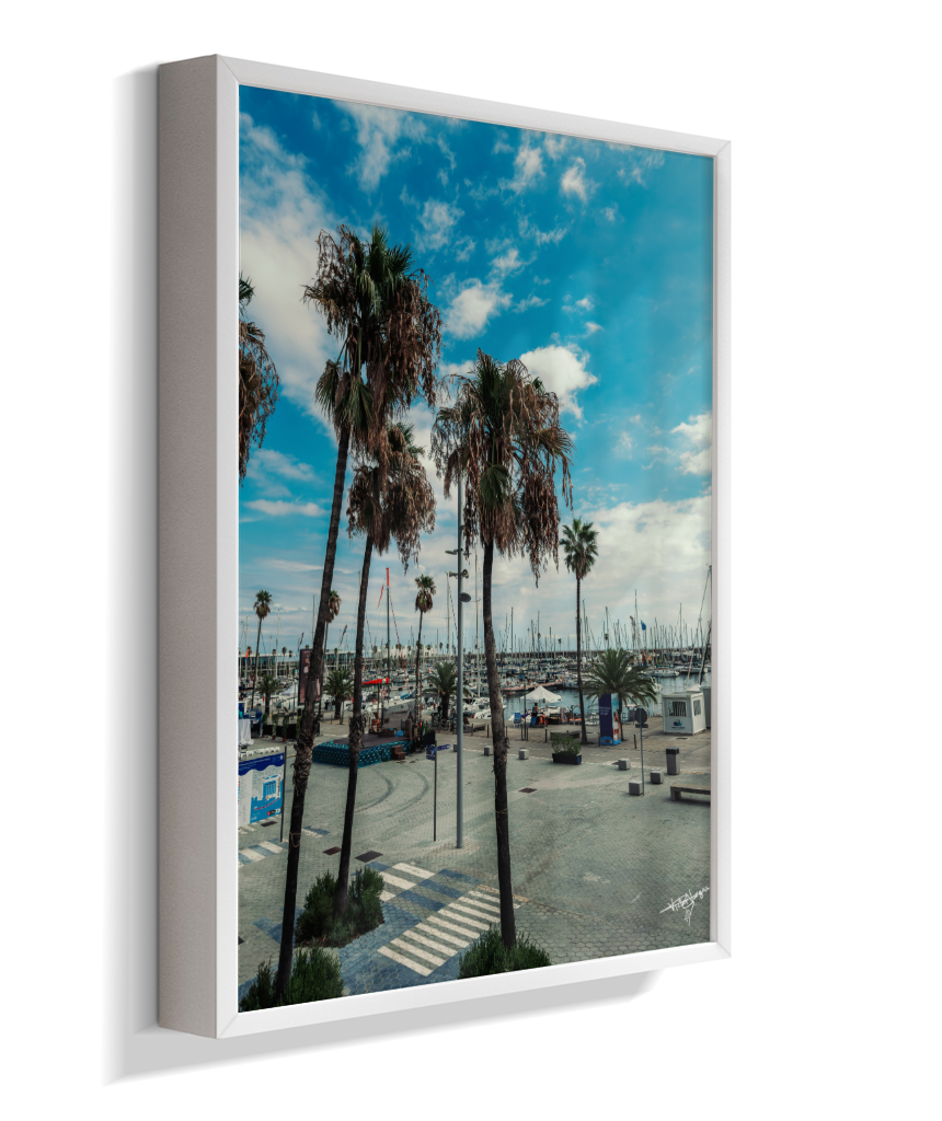 Harbor Palms
