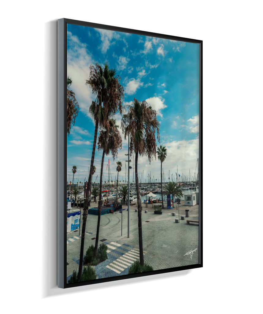 Harbor Palms