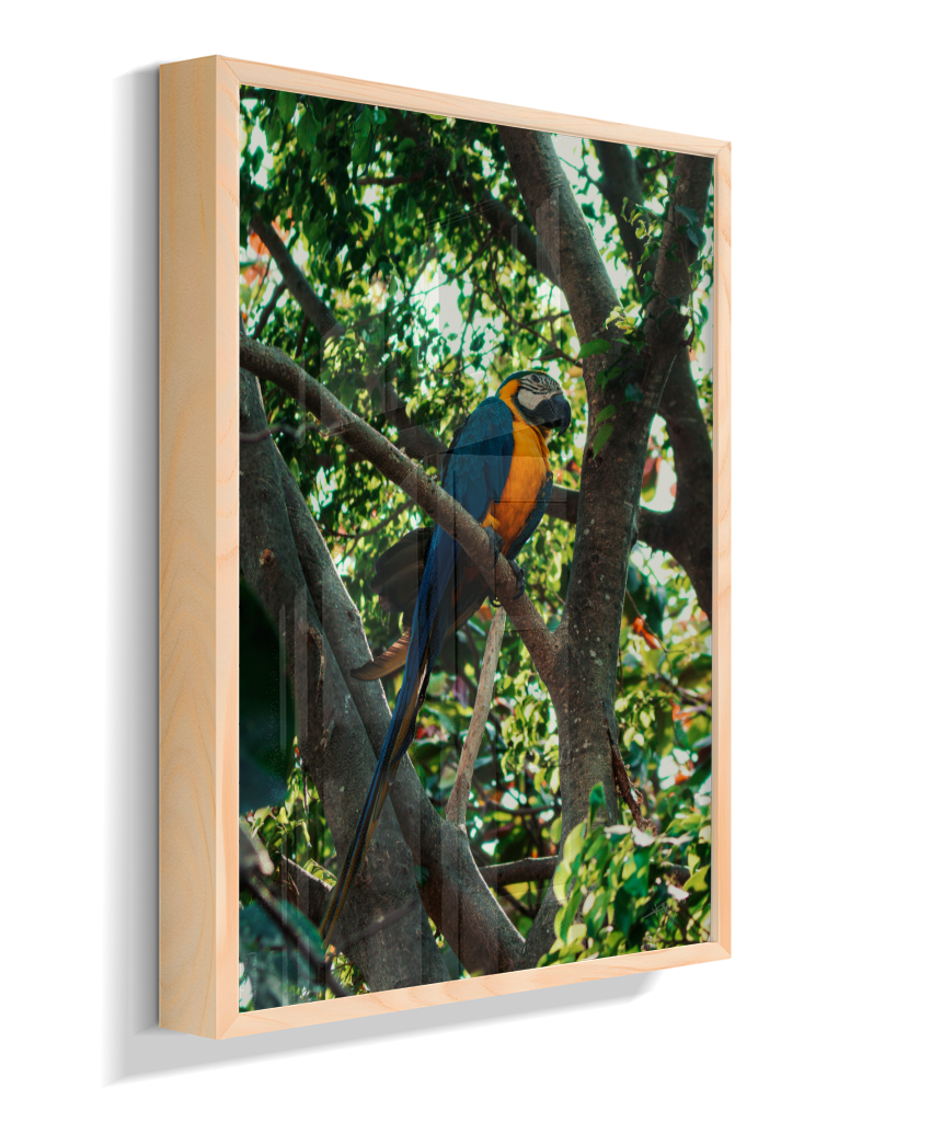 Treetop Sentinel