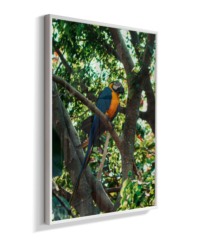 Treetop Sentinel