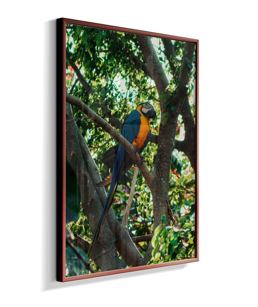 Treetop Sentinel