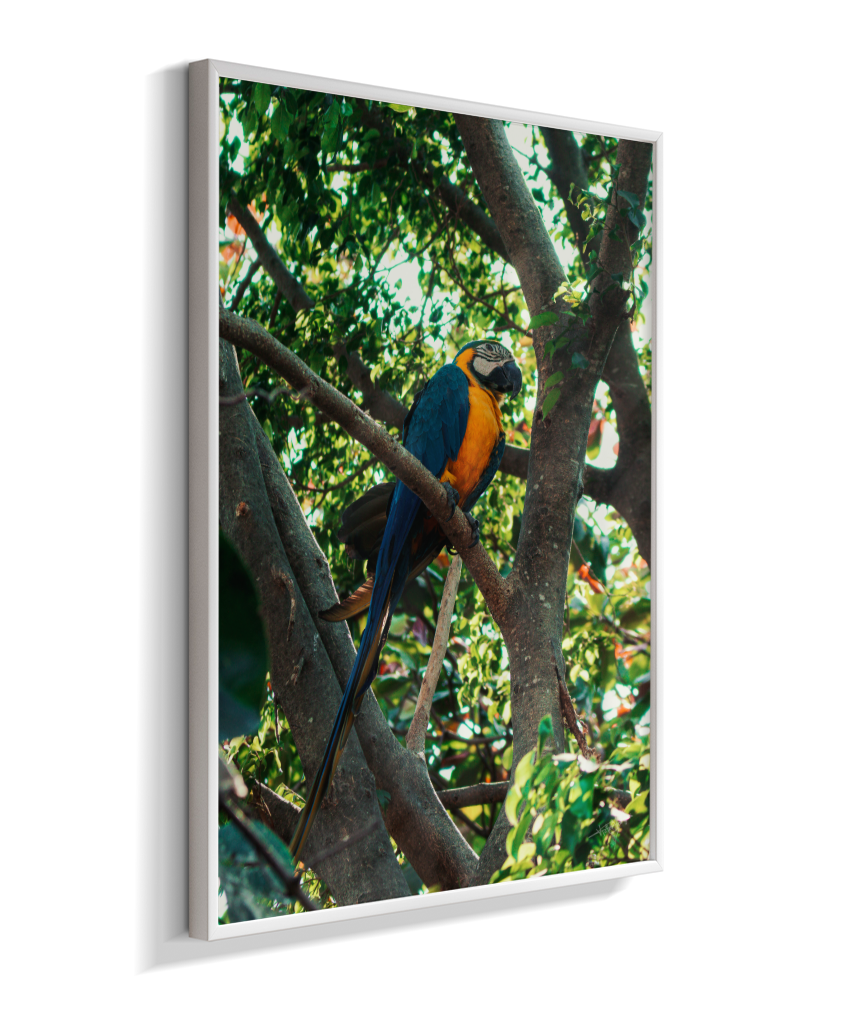 Treetop Sentinel