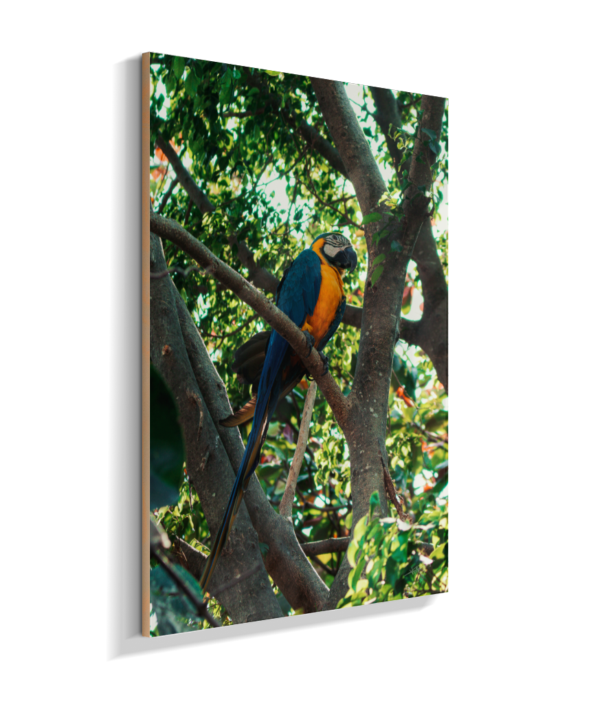 Treetop Sentinel