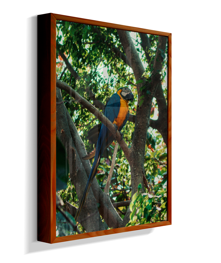 Treetop Sentinel