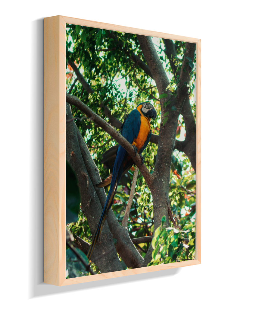 Treetop Sentinel