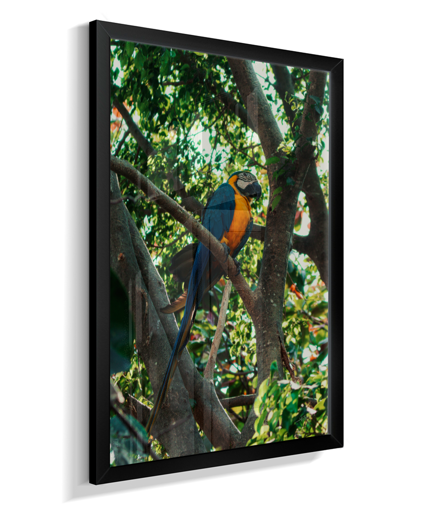 Treetop Sentinel