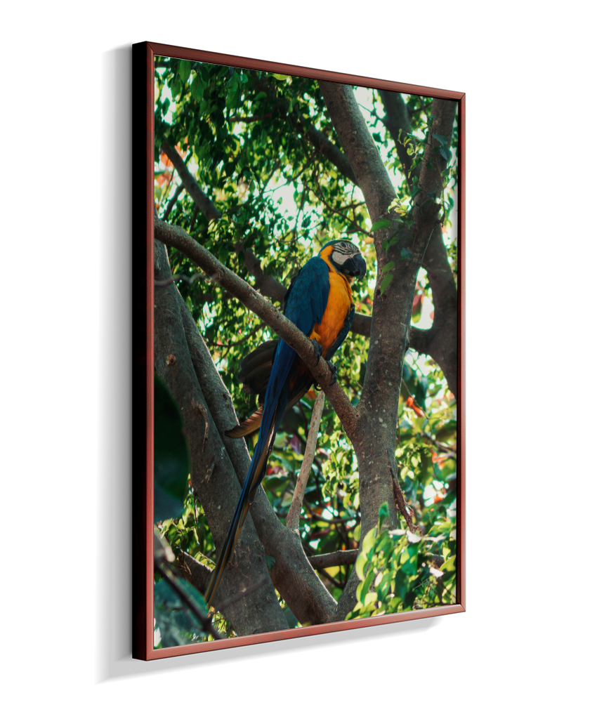 Treetop Sentinel