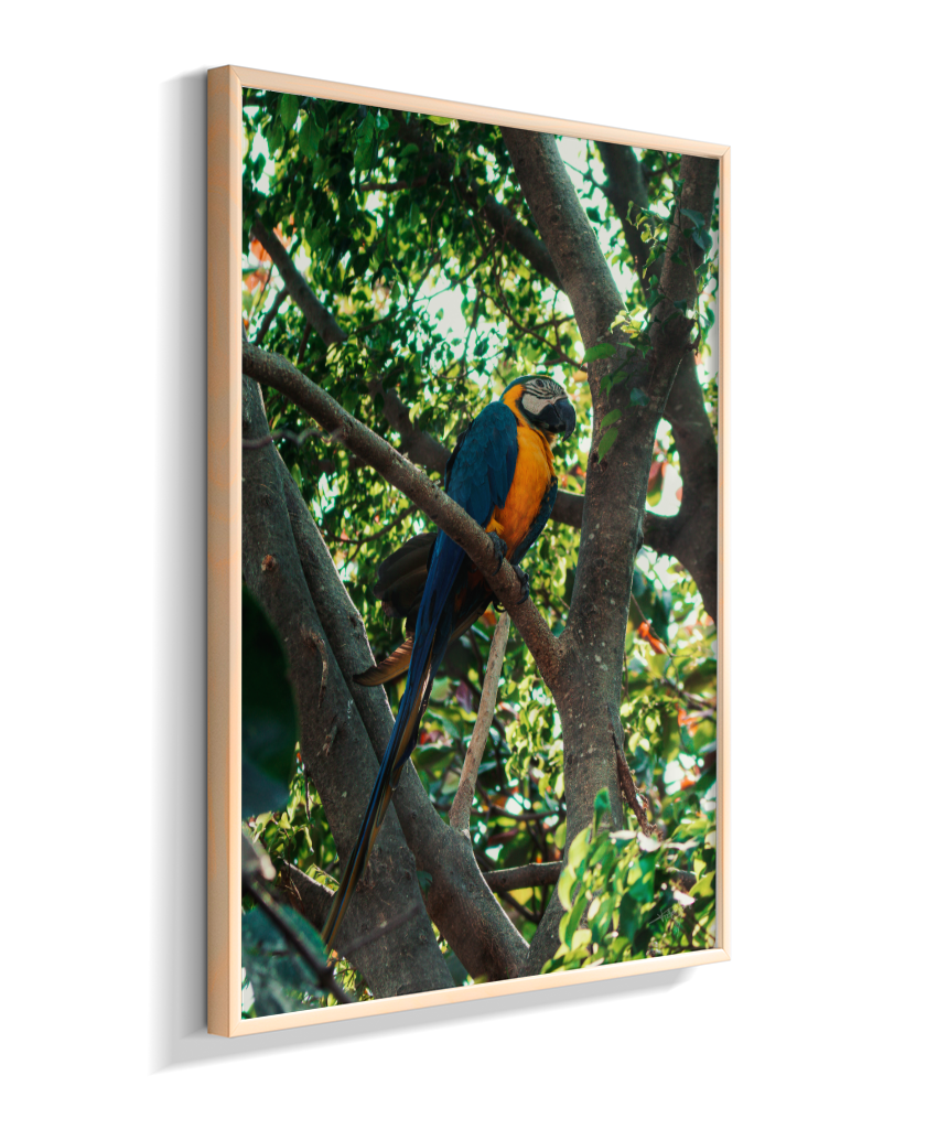 Treetop Sentinel