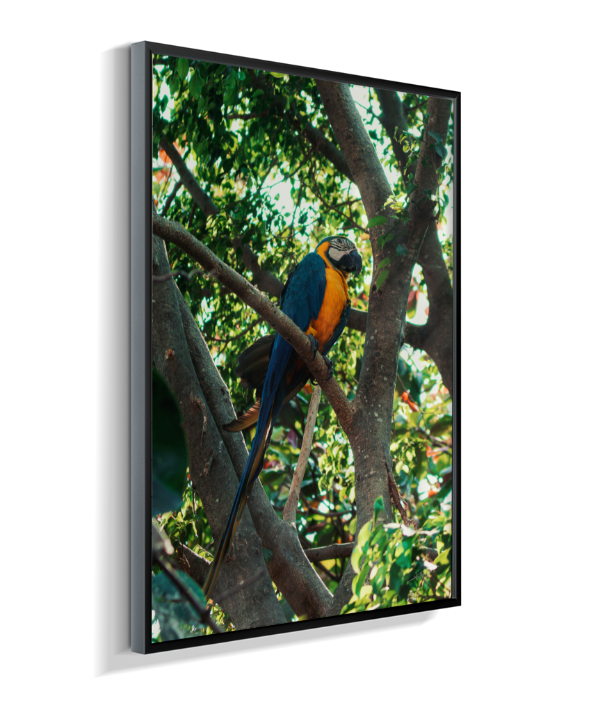 Treetop Sentinel