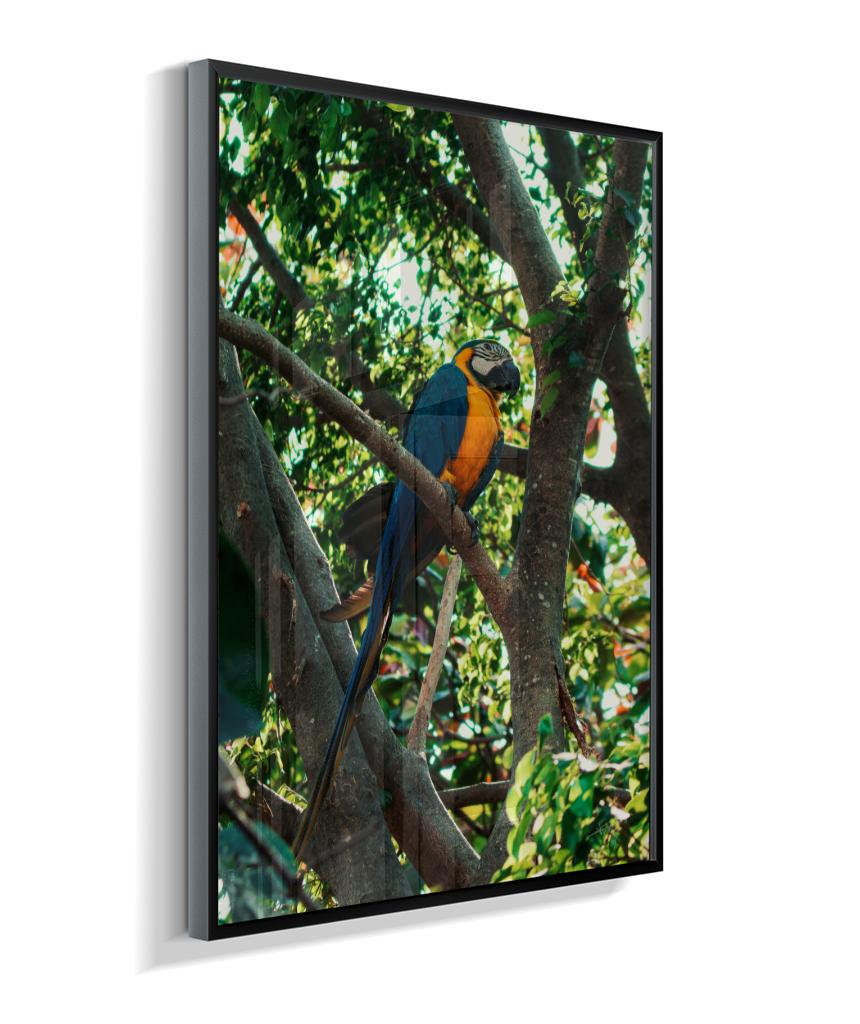 Treetop Sentinel