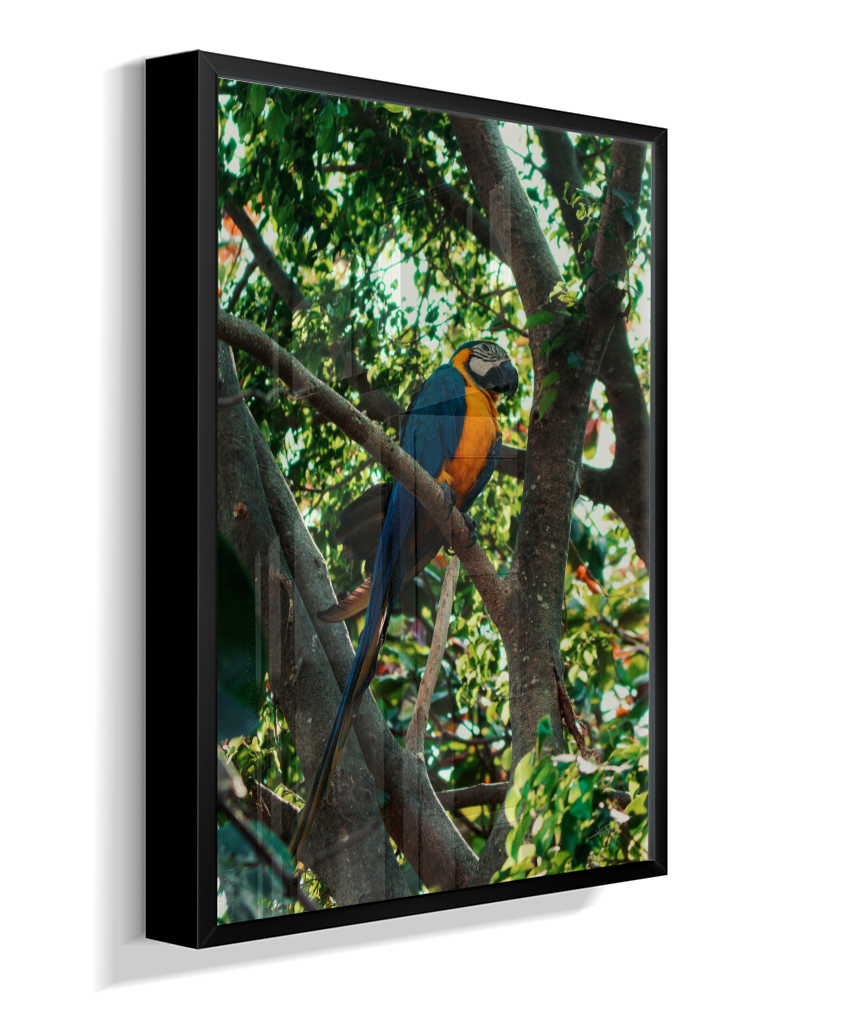 Treetop Sentinel
