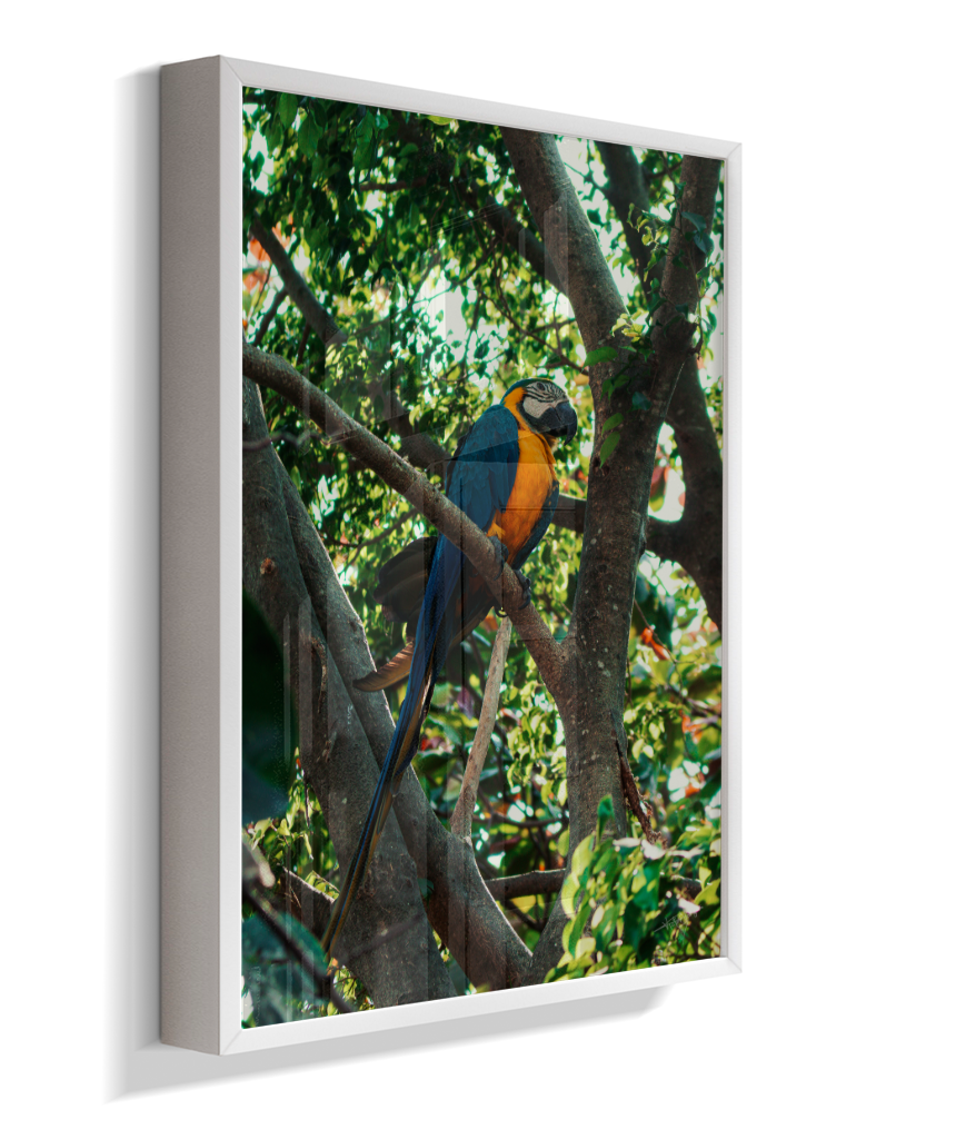 Treetop Sentinel