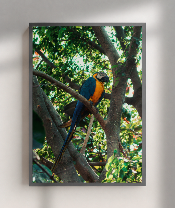 Treetop Sentinel