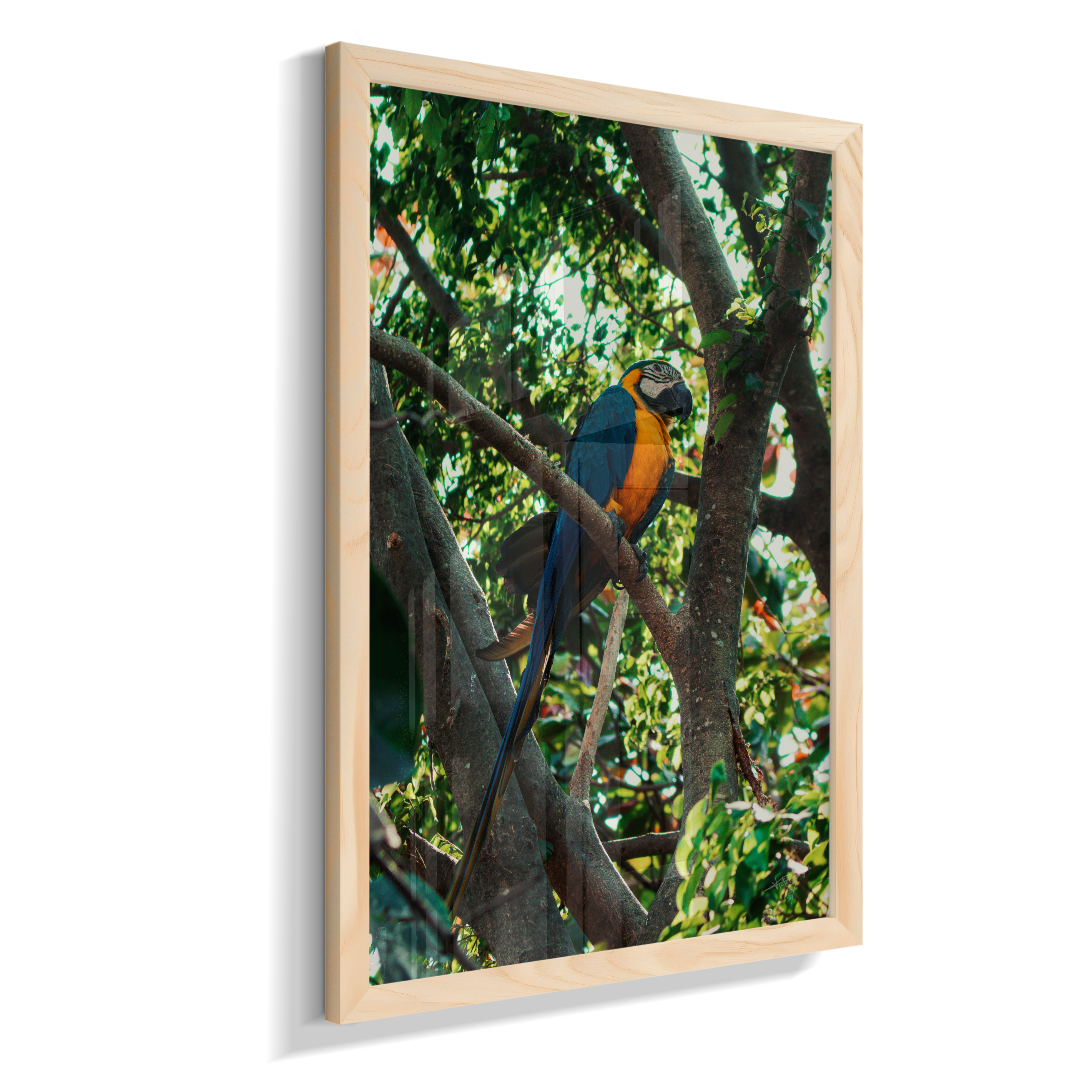 Treetop Sentinel