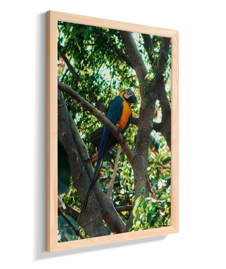 Treetop Sentinel