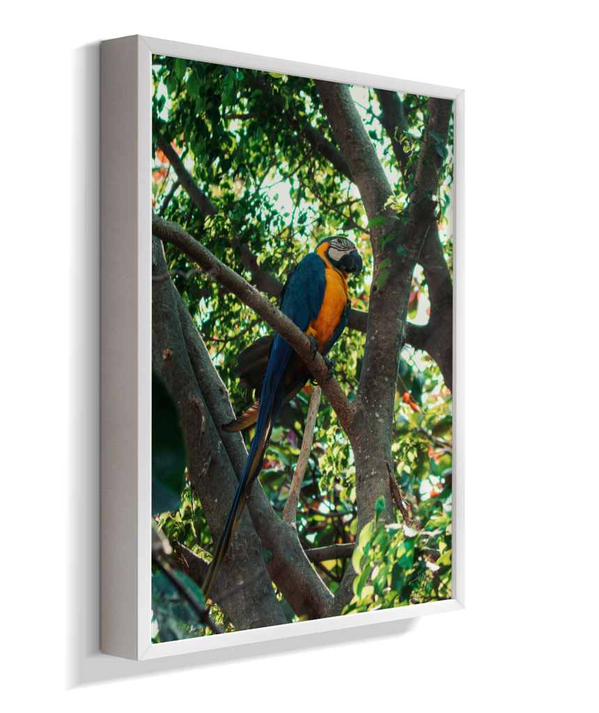Treetop Sentinel
