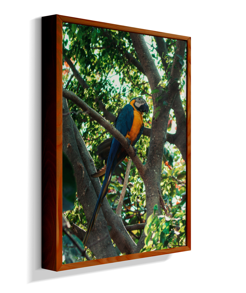 Treetop Sentinel