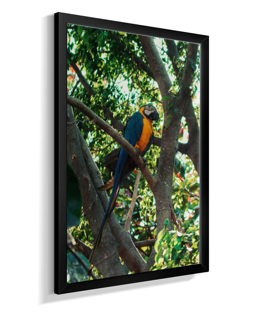 Treetop Sentinel