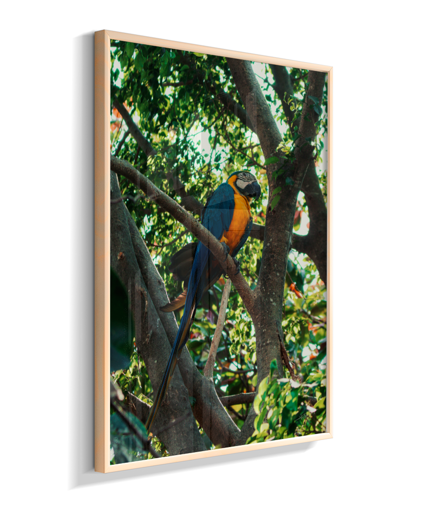 Treetop Sentinel