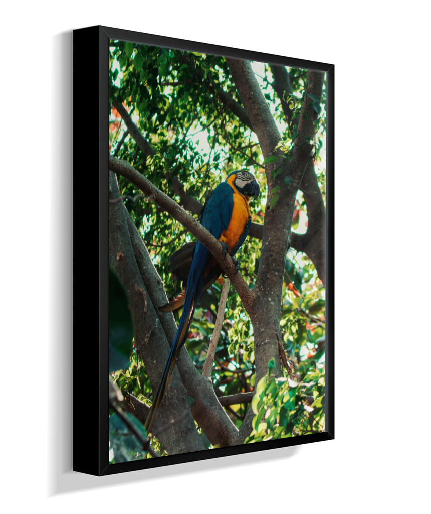Treetop Sentinel