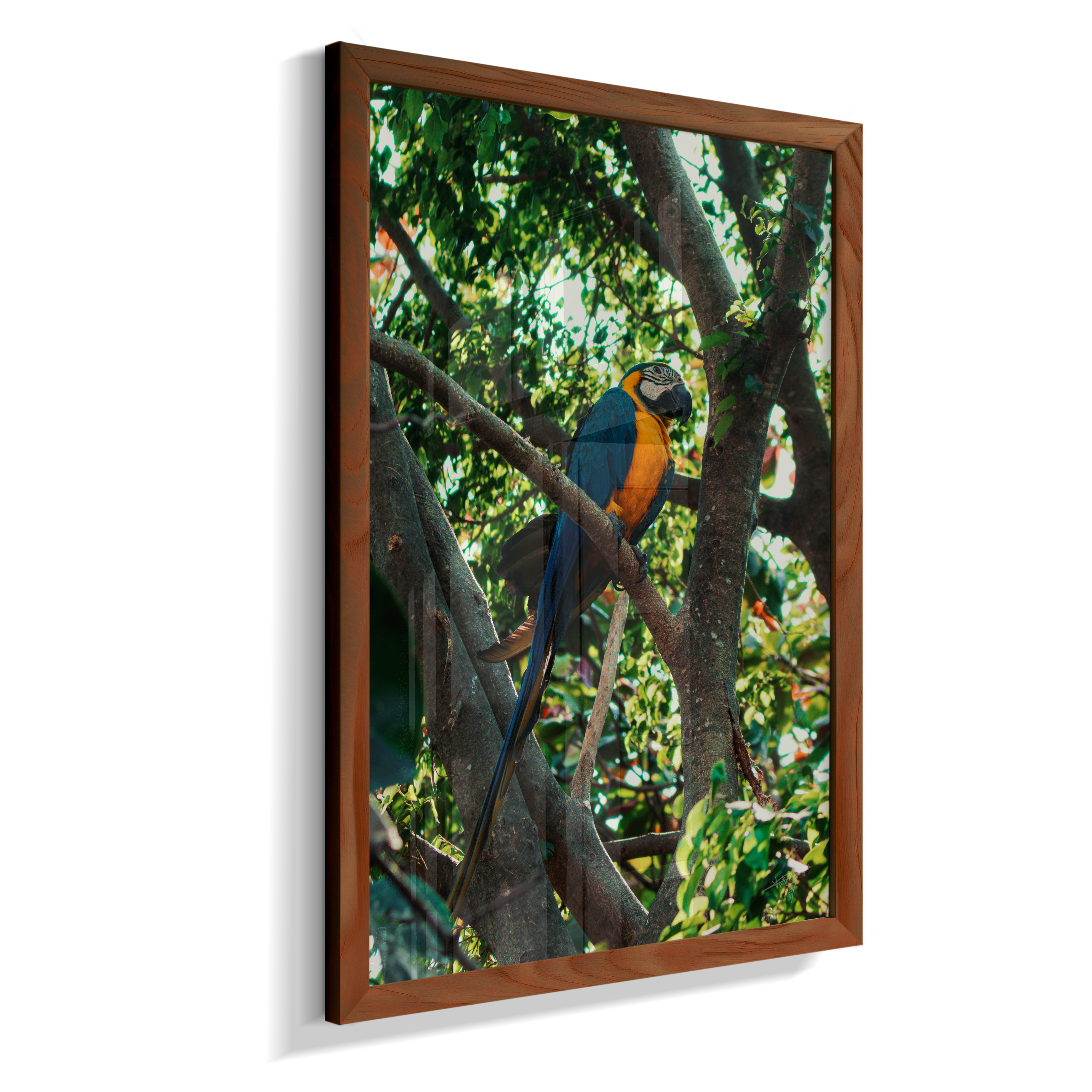 Treetop Sentinel