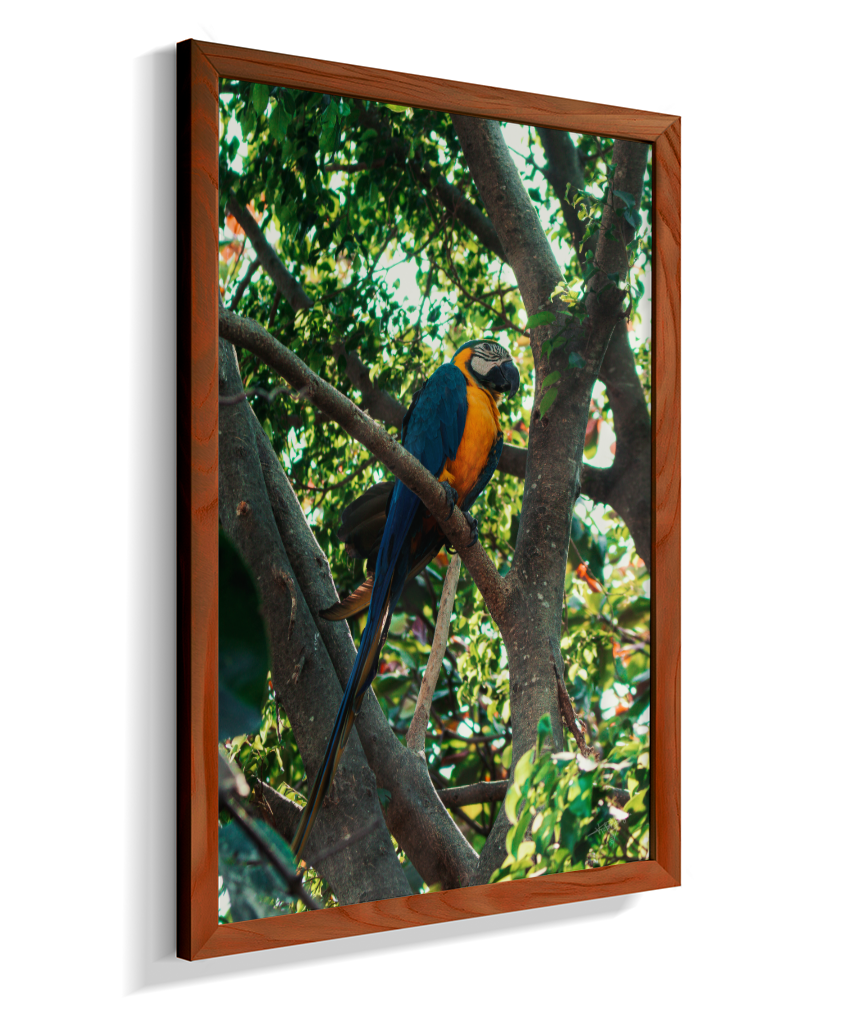 Treetop Sentinel