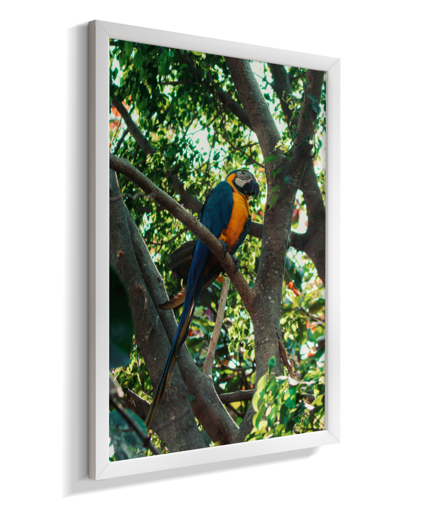 Treetop Sentinel