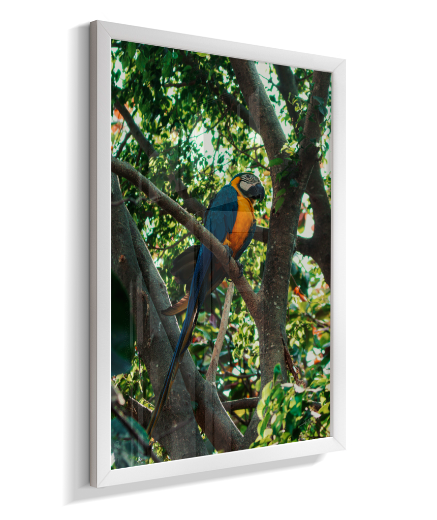 Treetop Sentinel