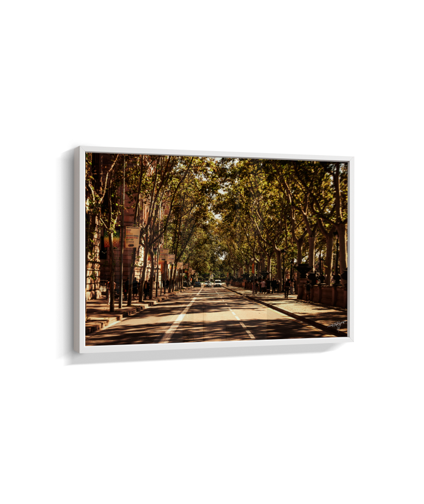 Boulevard Echoes