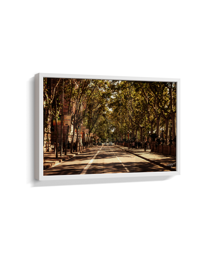 Boulevard Echoes