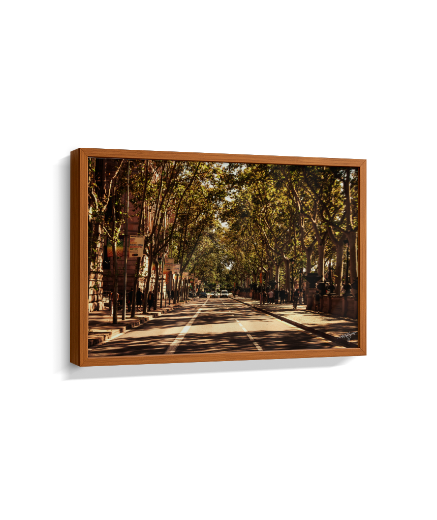 Boulevard Echoes