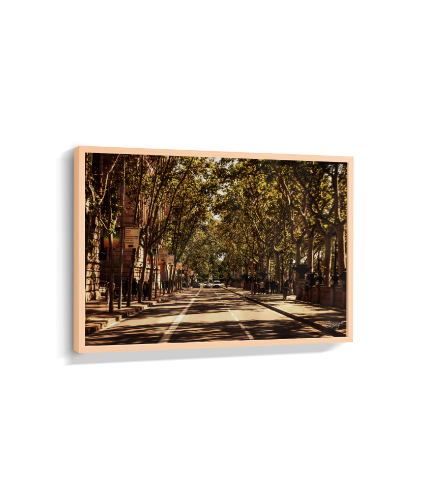 Boulevard Echoes