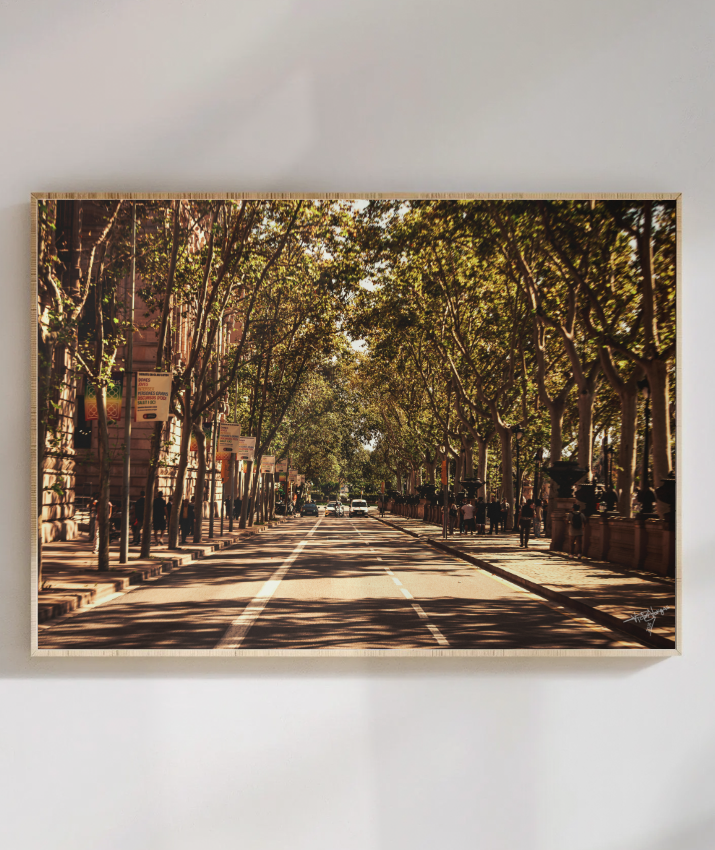 Boulevard Echoes