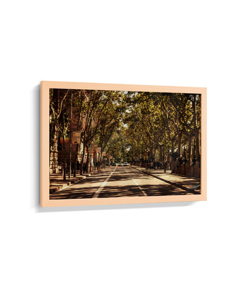Boulevard Echoes