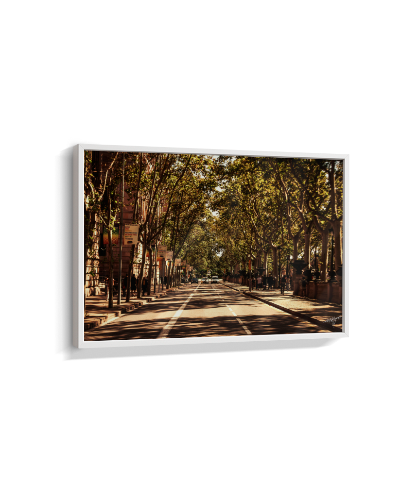 Boulevard Echoes