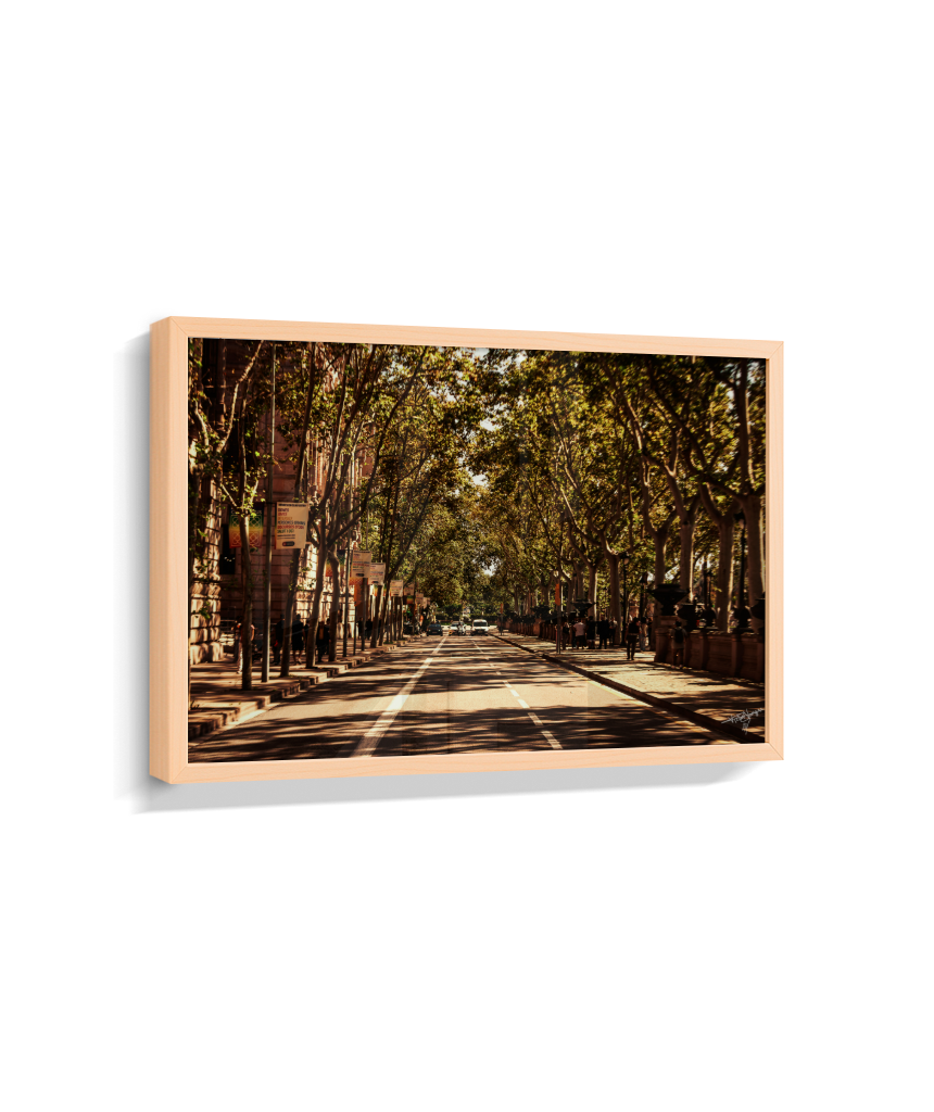 Boulevard Echoes